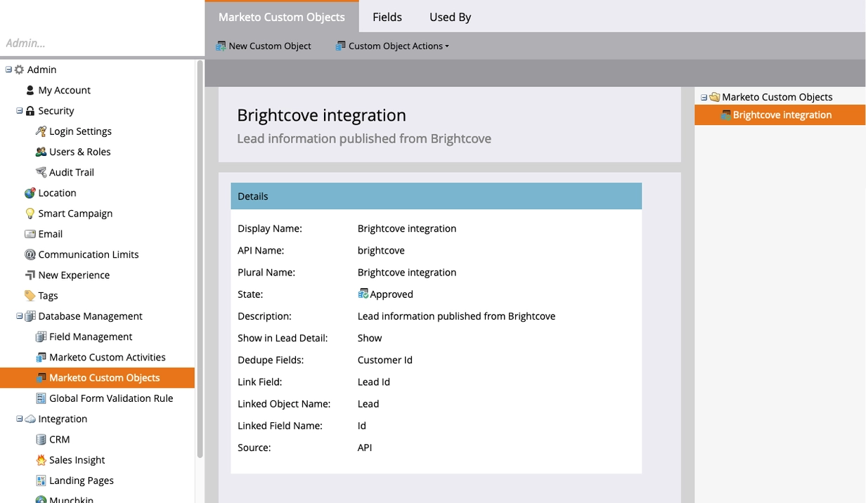 custom-object