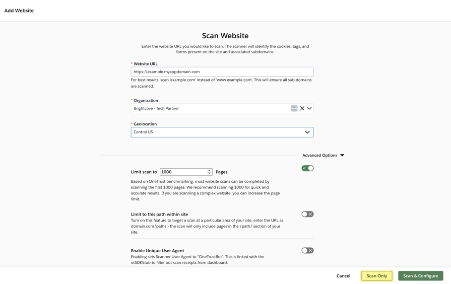 scan website