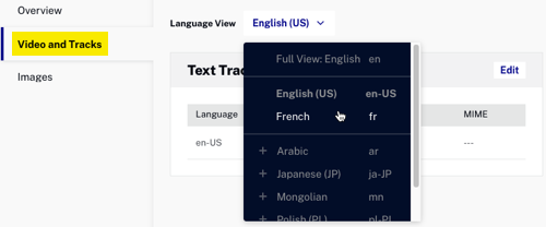 video subtitles choose language