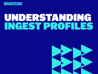 Comprendre les profils d'ingestion